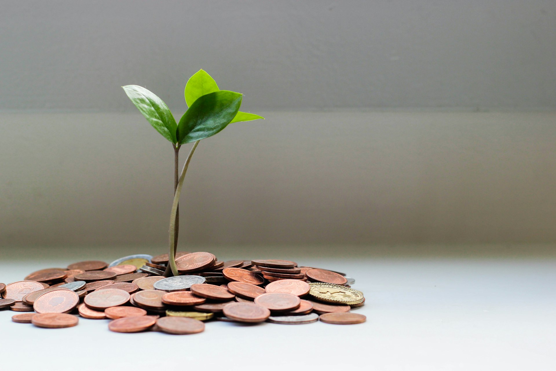 Actionable Sustainable Investing Strategies for Millennials: Building Wealth with Purpose